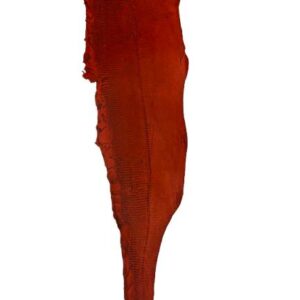 Peaux grandes rouges Cuir de Carpe de Dombes