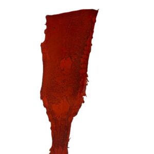 Peaux Extras rouges Cuir de Carpe de Dombes