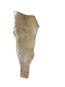 Peaux Extras blanc irisé Cuir de Carpe de Dombes