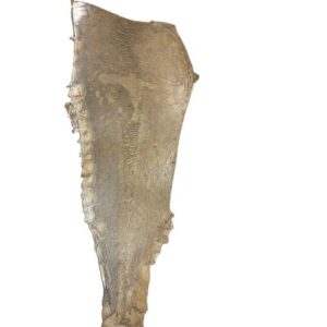 Peaux Extras blanc irisé Cuir de Carpe de Dombes