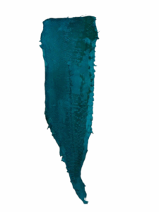 Peaux Grandes turquoise Cuir de Carpe de Dombes