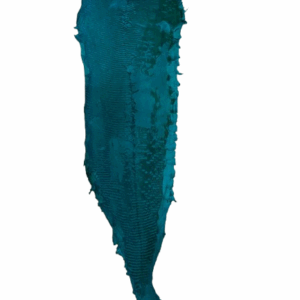 Peaux Grandes turquoise Cuir de Carpe de Dombes