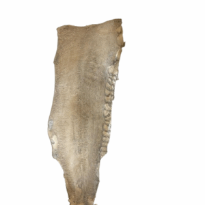 Peaux Grandes blanc irisé Cuir de Carpe de Dombes