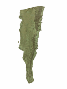 Peaux Grandes pistache Cuir de Carpe de Dombes