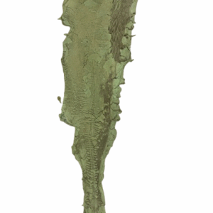 Peaux Grandes pistache Cuir de Carpe de Dombes