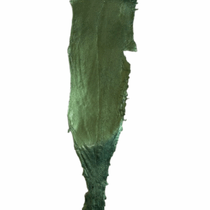 Peaux Grandes vert irisé Cuir de Carpe de Dombes