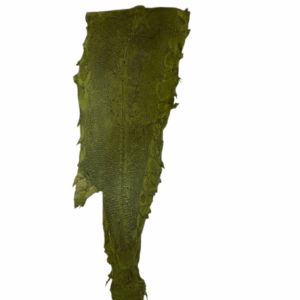 Peaux Extras kaki Cuir de Carpe de Dombes