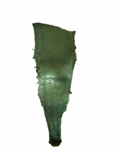 Peaux Extras vert irisé Cuir de Carpe de Dombes