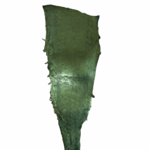 Peaux Extras vert irisé Cuir de Carpe de Dombes