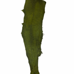 Peaux Grandes kaki Cuir de Carpe de Dombes