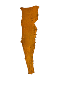 Peaux Fines miel Cuir de Carpe de Dombes