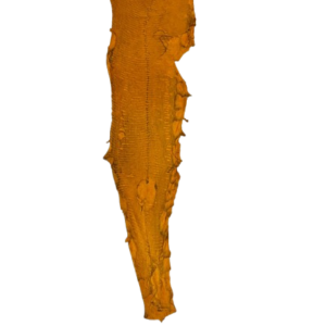 Peaux Fines miel Cuir de Carpe de Dombes