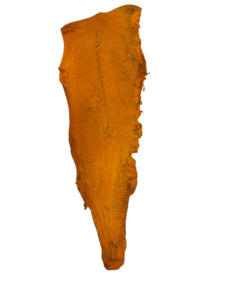 Peaux Grandes miel Cuir de Carpe de Dombes